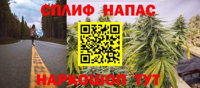 apvp Ливны