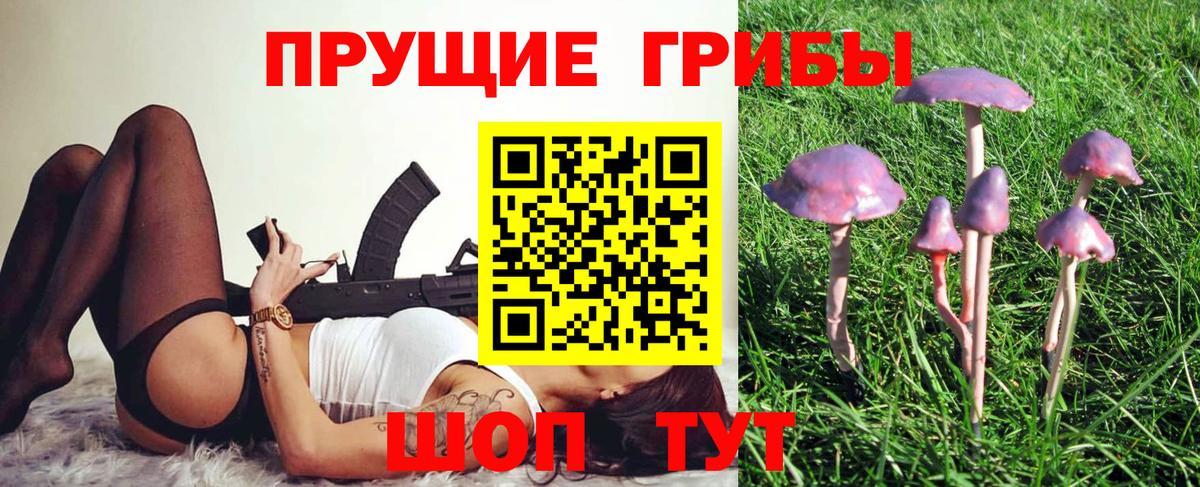 Псилоцибиновые грибы Magic Shrooms  Вход с VPN  Северобайкальск  Галлюциногенные грибы Psilocybine cubensis 