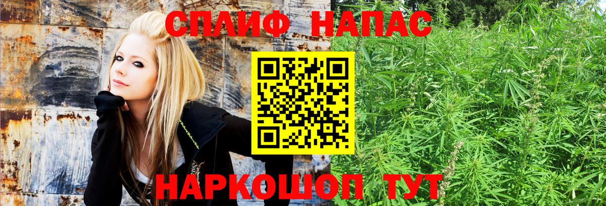 Северобайкальск  Бошки Шишки гибрид  Бошки Шишки MAZAR  Бошки марихуана сатива  Вход с VPN 
